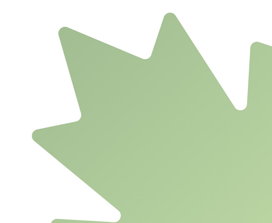 Footer Vector